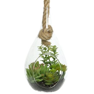 Декоративный подвесной флорариум Morrigan: Седум 24 см Kaemingk фото 6