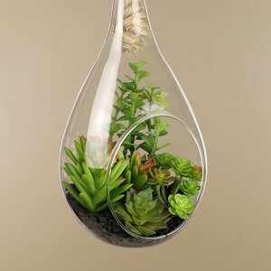 Декоративный подвесной флорариум Morrigan: Седум 24 см Kaemingk фото 3