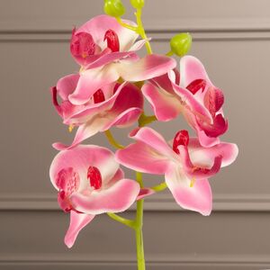 Искусственная орхидея в горшке Доминика 40 см Kaemingk фото 2