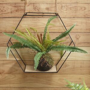 Искусственный папоротник в кокедаме Темпл-Белл 35*28 см (Kaemingk, Нидерланды). Артикул: 801091-1