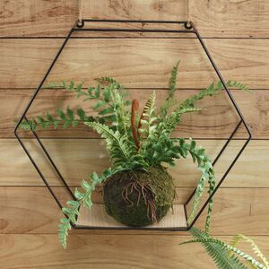 Искусственный папоротник в кокедаме Филикс-Фемина 35*28 см (Kaemingk, Нидерланды). Артикул: 801091-3