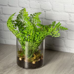 Искусственный папоротник Адиантум в стеклянной вазе 25 см (Kaemingk, Нидерланды). Артикул: 801093-2
