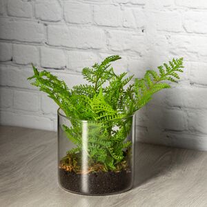 Искусственный папоротник Диплазиум в стеклянной вазе 25 см (Kaemingk, Нидерланды). Артикул: 801093-3