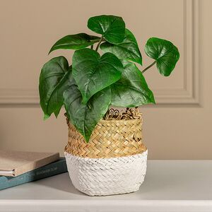 Искусственное растение в горшке Джордано 26 см