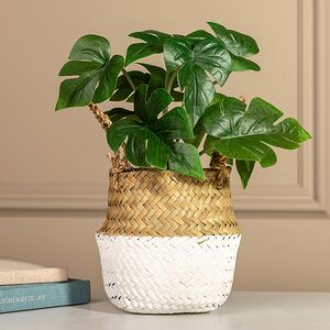 Искусственное растение в горшке Монстера Брунно 26 см