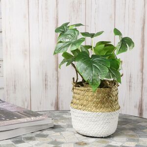 Искусственное растение в горшке Монстера Brunno 26 см