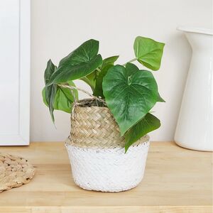 Искусственное растение в горшке Jordano 26 см