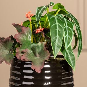 Композиция из искусственных цветов в горшке Алоказия Зелёная 25 см Kaemingk (Кейминг) фото 2