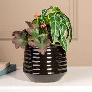 Композиция из искусственных цветов в горшке Алоказия Зелёная 25 см Kaemingk (Кейминг) фото 1