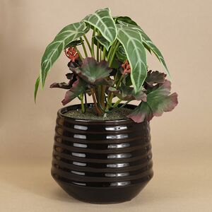 Композиция из искусственных цветов в горшке Alocasia Green 25 см