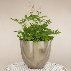 Декоративное кашпо Кастория 32*27 см, металл Kaemingk фото 5