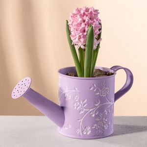 Декоративное кашпо-лейка Амальфи 22*10 см сиреневое, металл