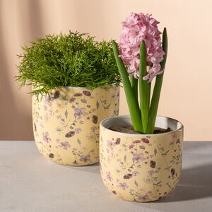 Набор декоративных кашпо Франсуаза 10-12 см, 2 шт, желтый, керамика