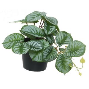 Искусственное растение в горшке Cefrado 18 см Kaemingk фото 6