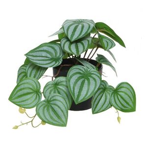 Искусственное растение в горшке Roderondo 18 см Kaemingk фото 3