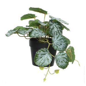 Искусственное растение в горшке Viafroya 18 см Kaemingk фото 3