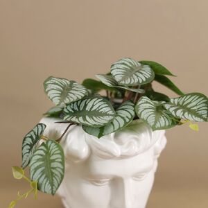 Искусственное растение в горшке Cefrado 18 см Kaemingk фото 4