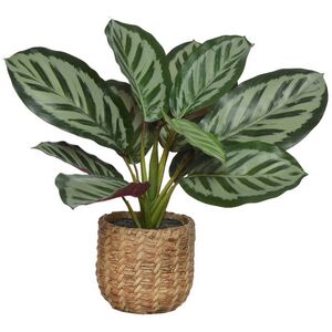 Искусственное растение в горшке Калатея 38 см Kaemingk (Кейминг) фото 6