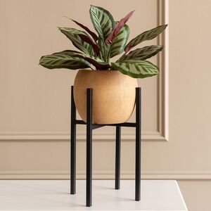 Искусственное растение в горшке Калатея 38 см Kaemingk (Кейминг) фото 5