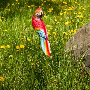 Садовый штекер Попугай Глория - Радуга Эмоций 74 см Kaemingk фото 5