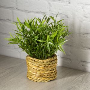 Искусственное растение Циперус в джутовом горшке 11 см (Kaemingk, Нидерланды). Артикул: 808844-3