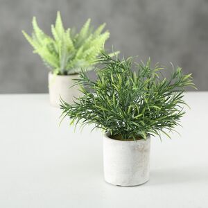 Искусственное растение в горшке Папоротник Асплениум 23 см Boltze (Больтце) фото 2