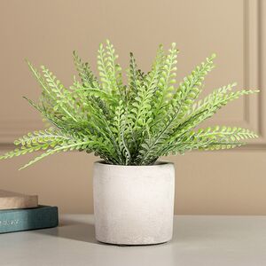 Искусственное растение в горшке Папоротник Асплениум 23 см Boltze (Больтце) фото 1