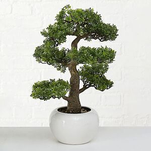 Искусственный бонсай Зантоксилум 47 см (Boltze, Германия). Артикул: 8295700-2