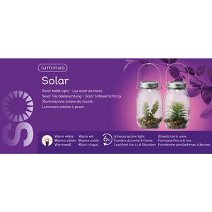 Подвесной светильник-банка на солнечной батарее Solar Флоранс с Седумом 18 см, IP44 Kaemingk фото 6