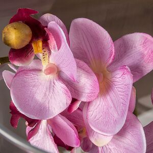 Искусственный цветок в кашпо Орхидея Королевская 50 см розовая Edelman фото 3