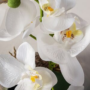 Искусственный цветок в кашпо Королевская 50 см белая Edelman (Эдельман) фото 3