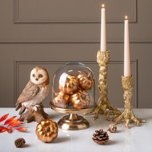 Стеклянный клош для декора Lillian 25*15 см Koopman фото 3