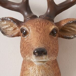Настенный крючок Олень Венсан 13*10 см Koopman (Купман) фото 2