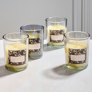 Набор ароматических свечей в стакане Finneoly - Jungle Safari 6 см, 4 шт, в подарочной упаковке Koopman фото 2