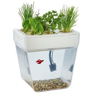 Акваферма Назад к Истокам 34*24 см (Назад к истокам, Россия). Артикул: AF2017