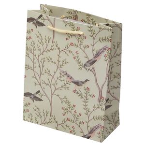 Подарочный пакет Райские птицы 23*18 см, оливковый (Koopman, Нидерланды). Артикул: APF478010-2