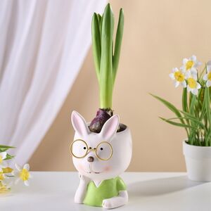 Декоративное кашпо Зайка Лютик 12 см