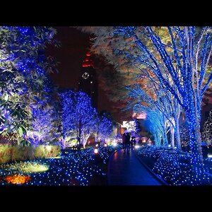 Гирлянды на дерево Клип Лайт Quality Light 60 м, 600 синих LED ламп, черный ПВХ, IP44 BEAUTY LED фото 2