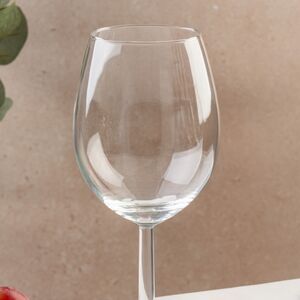 Набор бокалов для белого вина Moscato 20 см, 4 шт, 430 мл Koopman фото 3