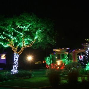 Гирлянды на дерево Клип Лайт Quality Light 100 м, 1000 зеленых LED ламп, с мерцанием, прозрачный ПВХ, IP44 BEAUTY LED фото 3