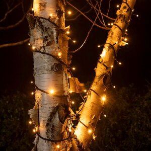 Гирлянды на дерево Клип Лайт Quality Light, экстра теплые белые LED лампы, черный ПВХ, IP44