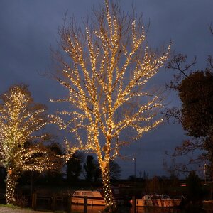 Гирлянды на дерево Клип Лайт Quality Light, экстра теплые белые LED лампы, прозрачный ПВХ, IP44