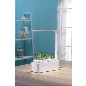 Умный Смарт-сад iGarden LED с подсветкой 39*29 см Назад к истокам фото 2