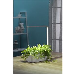 Умный Смарт-сад iGarden LED с подсветкой 39*29 см Назад к истокам фото 3