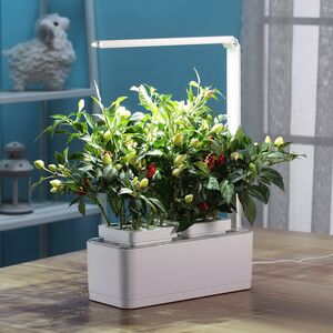 Умный Смарт-сад iGarden LED с подсветкой 39*29 см Назад к истокам фото 4