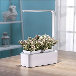 Умный Смарт-сад iGarden LED с подсветкой 39*29 см Назад к истокам фото 5