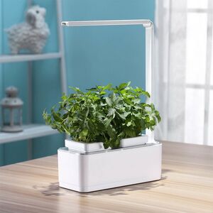 Умный Смарт-сад iGarden LED с подсветкой 39*29 см Назад к истокам фото 6