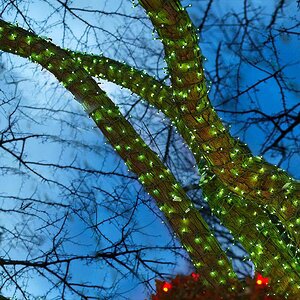 Гирлянды на дерево Клип Лайт Quality Light 60 м, 600 зеленых LED ламп, с мерцанием, прозрачный ПВХ, IP44 BEAUTY LED фото 4