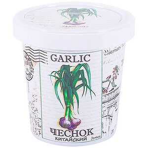 Набор для выращивания Чеснок Rostokvisa фото 1