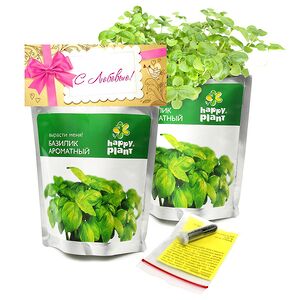 Набор для выращивания Базилик (Happy Plant, Россия). Артикул: hp-1